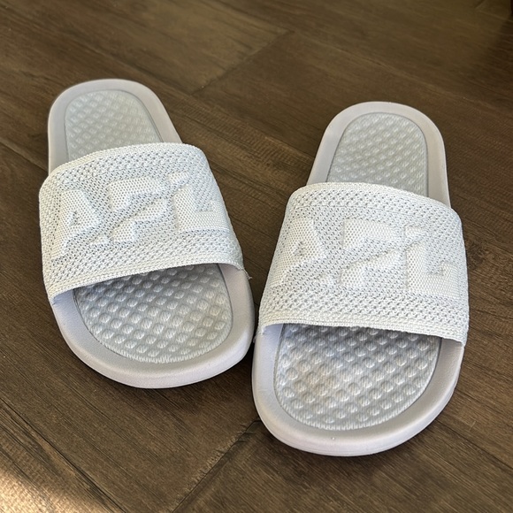 APL slides - Picture 4 of 10